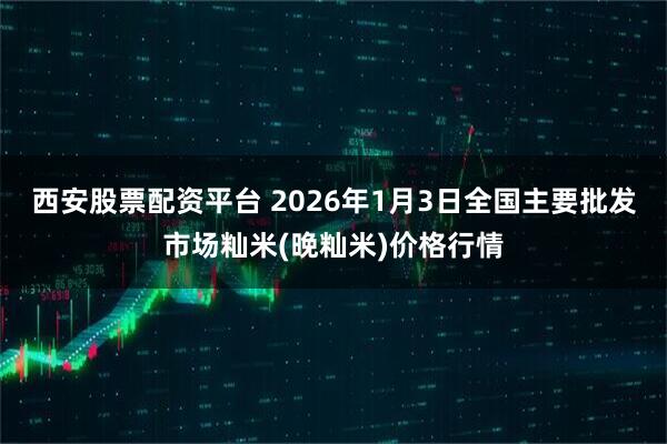 西安股票配资平台 2026年1月3日全国主要批发市场籼米(晚籼米)价格行情
